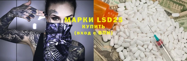 гидра Богданович
