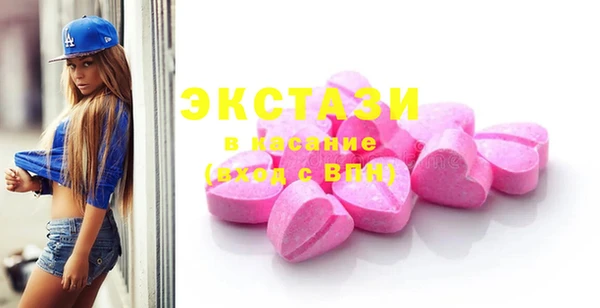 гидра Богданович