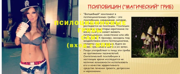 мяу мяу мука Бородино