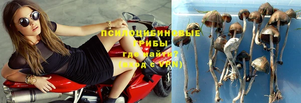 МДМА Богородицк